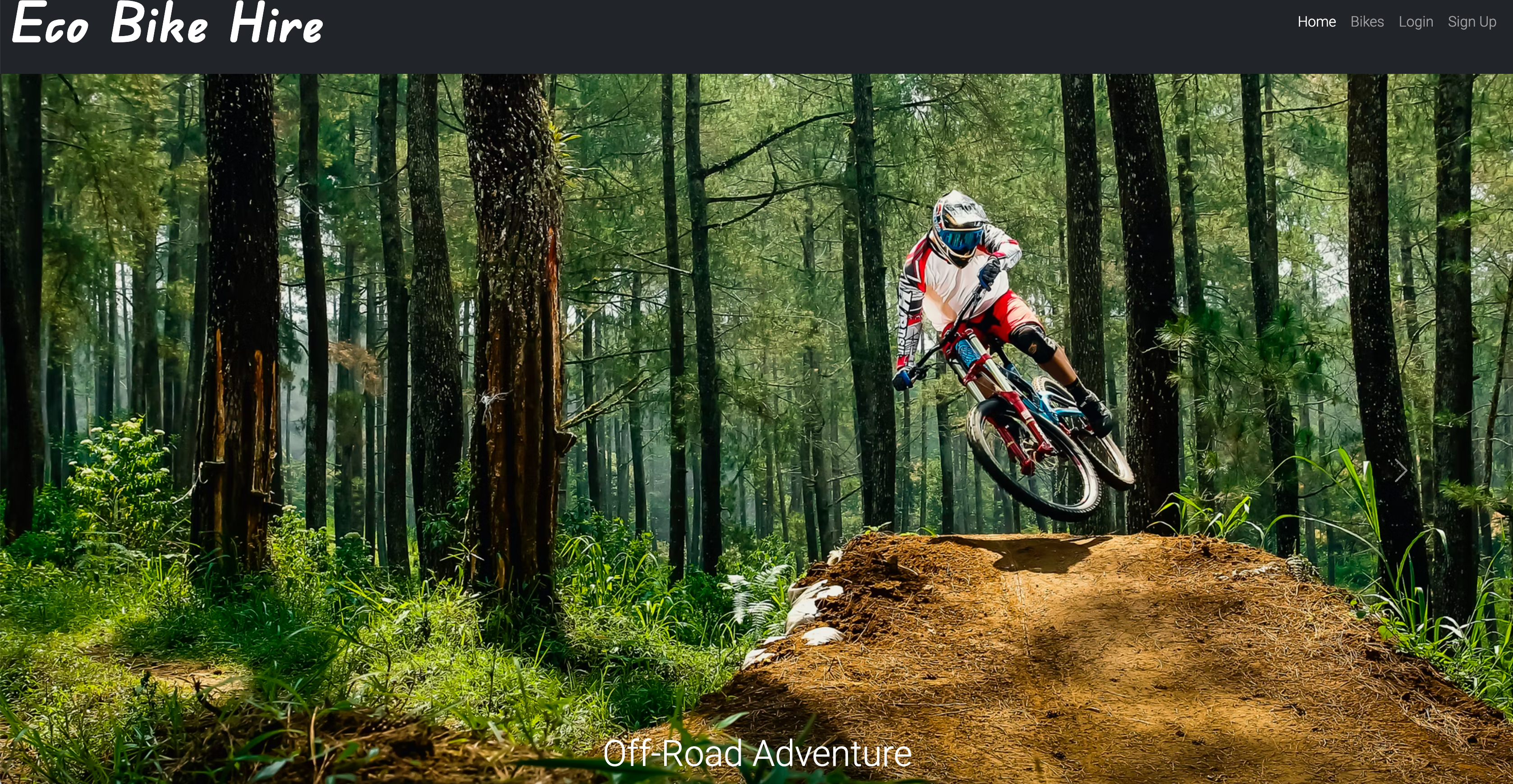 eco-bike-hire-homepage