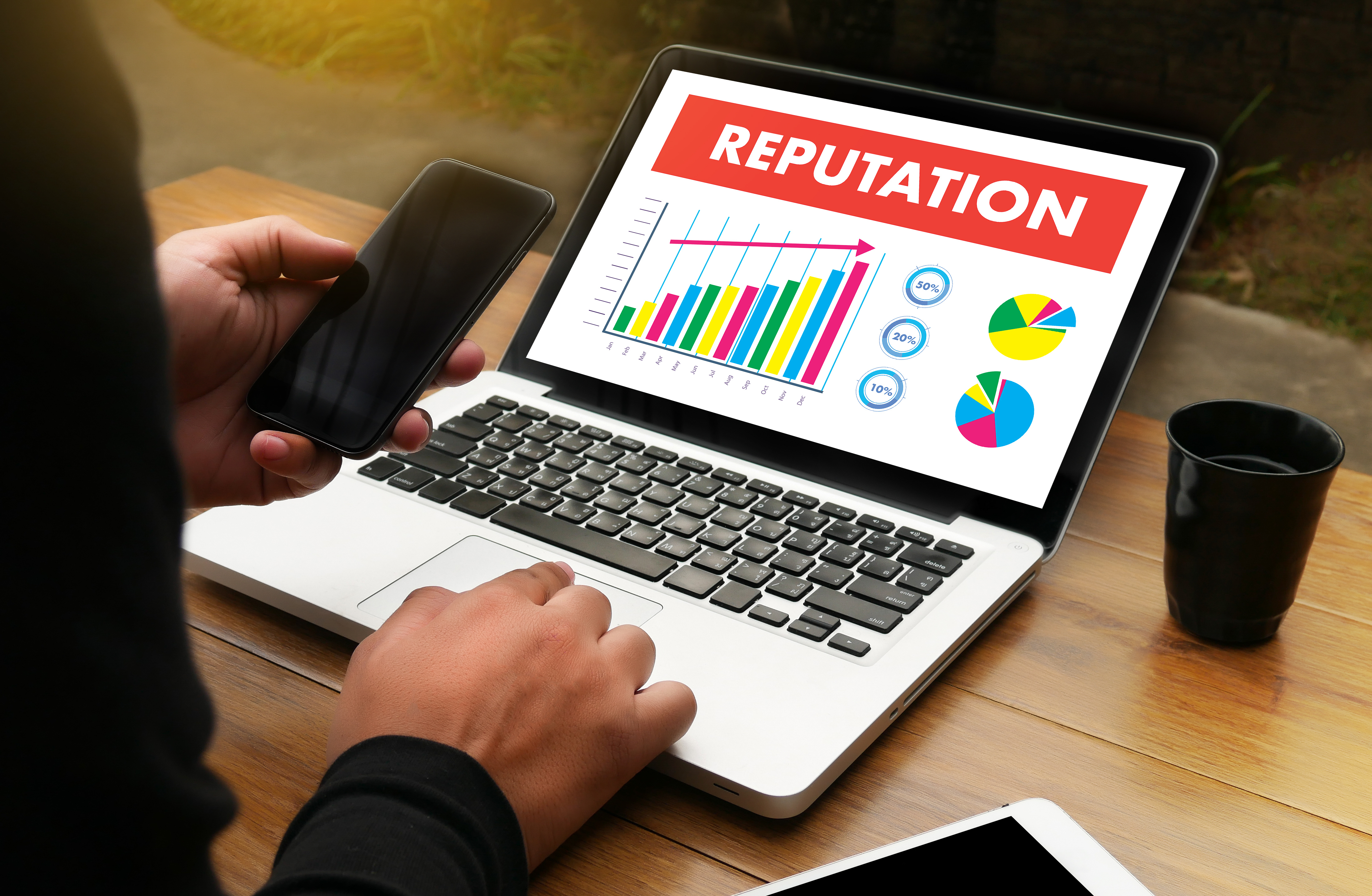 Reputation chart on a laptop